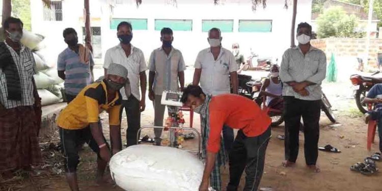ଅଖଣ୍ଡେଶ୍ୱର ସେବା ସମବାୟ ସମିତିରେ ରବିଧାନ ମଣ୍ଡି ଖୋଲିଲା