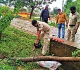 ବାତ୍ୟାରେ ଉପୁଡି ପଡିଥିବା ଗଛକୁ ସଫାକଲେ କୋରାଇ ଥାନା ଅଧିକାରୀ ରଞ୍ଜିତ ମହାନ୍ତି