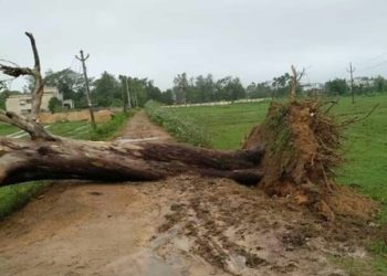 ବାଲେଶ୍ୱର ନୀଳଗିରରେ ବାତ୍ୟା ” ୟାସ ” ବିତ୍ପାତ : ଗଛ ଭାଙ୍ଗି ବ୍ୟାପକ କ୍ଷୟକ୍ଷତି