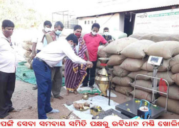 କୁଶପଙ୍ଗି ସେବା ସମବାୟ ସମିତି ପକ୍ଷରୁ ରବିଧାନ ମଣ୍ଡି ଖୋଲିଲା 