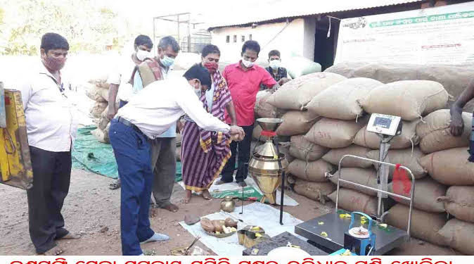 କୁଶପଙ୍ଗି ସେବା ସମବାୟ ସମିତି ପକ୍ଷରୁ ରବିଧାନ ମଣ୍ଡି ଖୋଲିଲା 