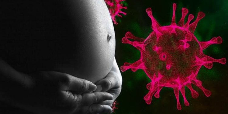 ଗର୍ଭବତୀ ଓ ସ୍ତନ୍ୟପାନ କରାଉଥିବା ମହିଳା କରୋନା ଟିକା ନେଇପାରିବେ ନାହିଁ