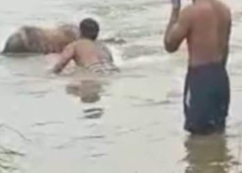 ତେଲ ନଦୀରୁ ମିଳିଲା ଅଖା ବସ୍ତାରେ ବନ୍ଧା ଶବ, ପୋଲିସର ତଦନ୍ତ