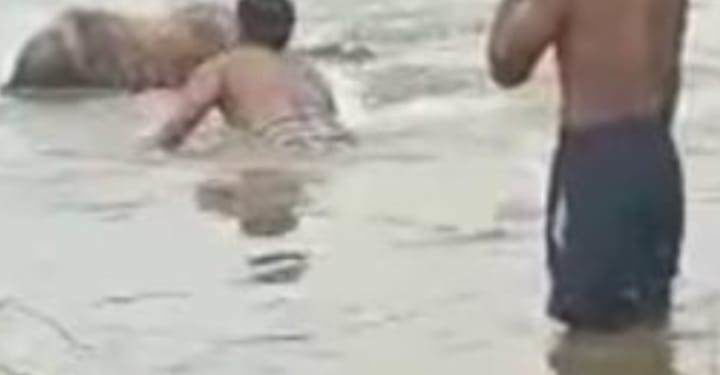 ତେଲ ନଦୀରୁ ମିଳିଲା ଅଖା ବସ୍ତାରେ ବନ୍ଧା ଶବ, ପୋଲିସର ତଦନ୍ତ