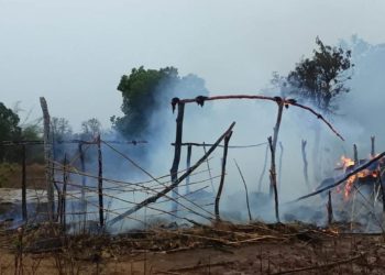 ବଜ୍ରପାତରେ ପତ୍ରଫଡି ଜଲିଗଲା : ଲକ୍ଷାଧିକ ଟଙ୍କା ର କେନ୍ଦୁପତ୍ର ପୋଡ଼ି ନଷ୍ଟ – ପାଟଣାଗଡ଼