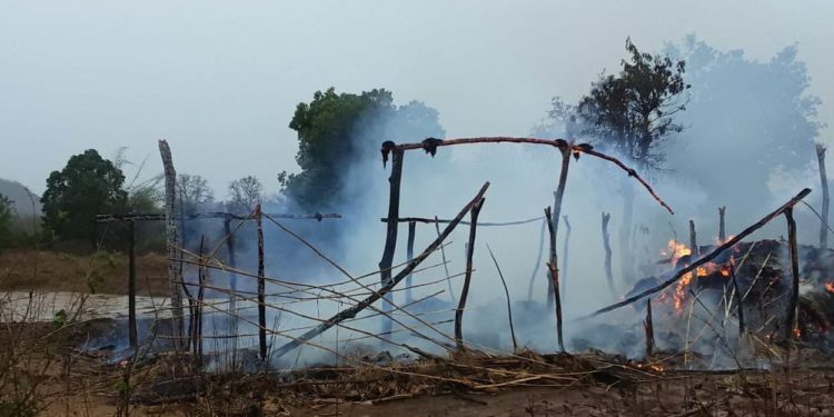 ବଜ୍ରପାତରେ ପତ୍ରଫଡି ଜଲିଗଲା : ଲକ୍ଷାଧିକ ଟଙ୍କା ର କେନ୍ଦୁପତ୍ର ପୋଡ଼ି ନଷ୍ଟ – ପାଟଣାଗଡ଼