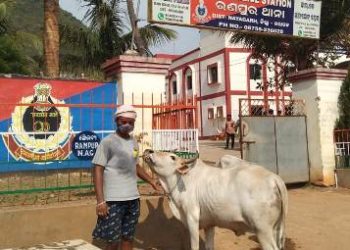 ମାତିଲେ ରଣପୁରରେ ବଜରଙ୍ଗୀ ଦଳ ; ଟାଟାଏସି ରୁ ୫ ଟି ଗୋରୁ ଉଦ୍ଧାର, ଚଖମା ଦେଖେଇ ମାଲିକ ଚମ୍ପଟ