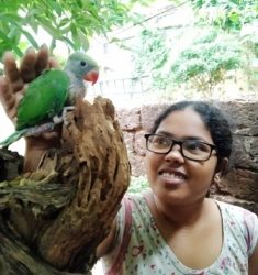 ବାସ୍ତୁ ଶାସ୍ତ୍ରରେ ମଧ୍ୟ ପଶୁପକ୍ଷୀଙ୍କର ବିଶେଷ ମହତ୍ୱ ବର୍ଣ୍ଣନା କରାଯାଇଛି : ଘରେ ଶୁଆ ରଖିବା ଦ୍ୱାରା ନକରାତ୍ମକ ଶକ୍ତି ଦୂର ହୋଇଥାଏ
