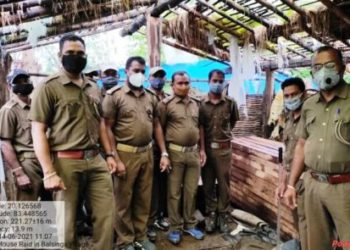 ବନବିଭାଗ ହାତରେ କାଠମାଫିଆ, ଲକ୍ଷାଧିକ ଟଙ୍କାର କାଠ ଜବତ