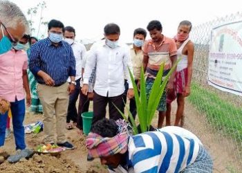 ହିଞ୍ଜିଳିରେ ଜିଲ୍ଲାପାଳଙ୍କ ମେଗା ବୃକ୍ଷରୋପଣ କାର୍ଯ୍ୟକ୍ରମ ଶୁଭାରମ୍ଭ ଓ ଉନ୍ନୟନ କାର୍ଯ୍ୟର ସମୀକ୍ଷା