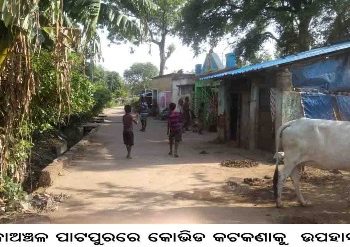 କାଗଜ ପତ୍ର ରେ କଣ୍ଟେନମେଣ୍ଟ ଜୋନ ବାସ୍ତବ ଚିତ୍ରକଣ୍ଟେନମେଣ୍ଟ ଜୋନ ନିୟମ କୋଭିଡ କଟକଣାକୁ ପଞ୍ଚାୟତ ବାସୀ ଙ୍କ ଉପହାସ 