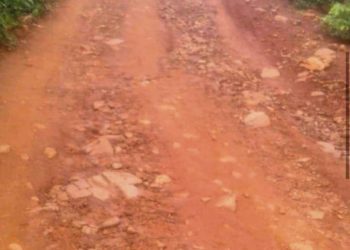 ଦୀର୍ଘ ଦିନ ହେଲା ରାସ୍ତା ମରାମତି ହୋଇନାହିଁ :୧୪ରୁ ଉର୍ଦ୍ଧ ଗ୍ରାମବାସୀ ଭୋଗୁଛନ୍ତି ଦୁର୍ଦ୍ଦଶା