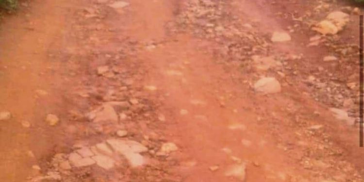 ଦୀର୍ଘ ଦିନ ହେଲା ରାସ୍ତା ମରାମତି ହୋଇନାହିଁ :୧୪ରୁ ଉର୍ଦ୍ଧ ଗ୍ରାମବାସୀ ଭୋଗୁଛନ୍ତି ଦୁର୍ଦ୍ଦଶା