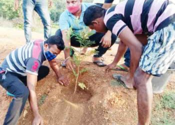 ଅଂଶୁପା ଆଞ୍ଚଳିକ ବିକାଶ ମଞ୍ଚ ପକ୍ଷରୁ ବିଶ୍ୱ ପରିବେଶ ଦିବସ ପାଳିତ