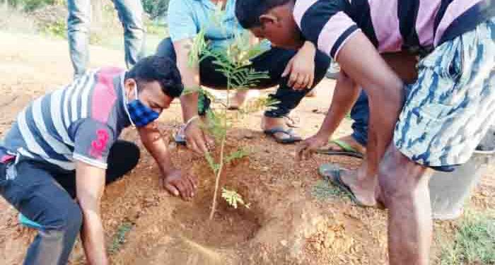 ଅଂଶୁପା ଆଞ୍ଚଳିକ ବିକାଶ ମଞ୍ଚ ପକ୍ଷରୁ ବିଶ୍ୱ ପରିବେଶ ଦିବସ ପାଳିତ