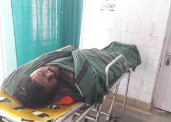 ସର୍ପlଘାତ ରେ ଯୁବକ ଙ୍କ ମୃତ୍ୟୁ