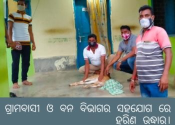 ବନ ବିଭାଗ ର ଦାଇତ୍ୱ ହୀନତା ରୁ ଭଗିପୁର ଗ୍ରାମ ରୁ ହରିଣ ଉଦ୍ଧାର