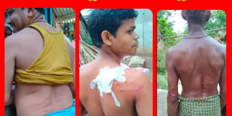ମାଙ୍କଡ଼ କାମୁଡ଼ାରେ ୧୦ ରୁ ଉର୍ଦ୍ଧ ଆହତ