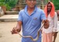 ନାଗସାପ ଉଦ୍ଧାର କଲେ ଦେବେନ୍ଦ୍ର
