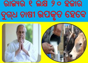 ଓମ୍‌ଫେଡ ଚାଷୀଙ୍କ ପାଇଁ ମୁଖ୍ୟମନ୍ତ୍ରୀଙ୍କ କୋଭିଡ ସହାୟତା : ଗୋଖାଦ୍ୟ ଖର୍ଚ୍ଚ ବାବଦ ୬୦୦୦ ଟଙ୍କା ପର୍ଯ୍ୟନ୍ତ ମିଳିବ ସହାୟତା – ଉପକୃତ ହେବେ ୧ ଲକ୍ଷ ୨୦ ହଜାର ଦୁଗ୍‌ଧ ଚାଷୀ