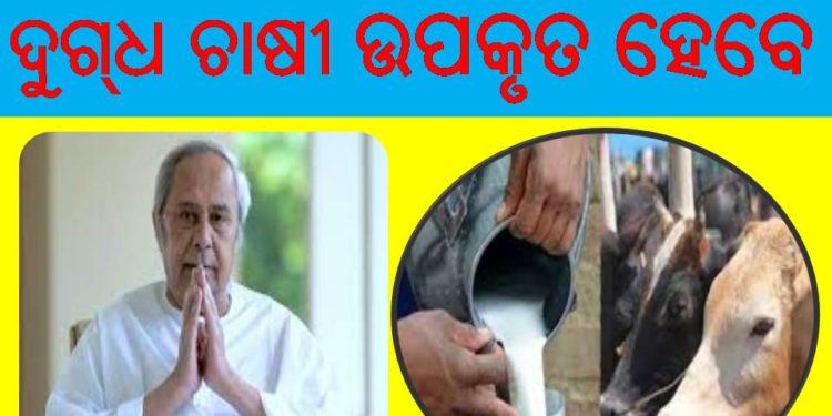 ଓମ୍‌ଫେଡ ଚାଷୀଙ୍କ ପାଇଁ ମୁଖ୍ୟମନ୍ତ୍ରୀଙ୍କ କୋଭିଡ ସହାୟତା : ଗୋଖାଦ୍ୟ ଖର୍ଚ୍ଚ ବାବଦ ୬୦୦୦ ଟଙ୍କା ପର୍ଯ୍ୟନ୍ତ ମିଳିବ ସହାୟତା – ଉପକୃତ ହେବେ ୧ ଲକ୍ଷ ୨୦ ହଜାର ଦୁଗ୍‌ଧ ଚାଷୀ