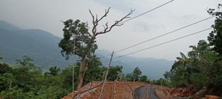 ରାୟଗଡ-ମଣ୍ଡଳସାହି ସଡକ ବାଉଁସ ଖୁଣ୍ଟରେ ବିଦ୍ୟୁତ ଯୋଗାଣ : ମୁଣ୍ଡଉପରେ ବିପଦ