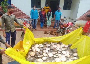 ଚୋରା ଚାଲାଣ ବେଳେ ଉଦ୍ଧାର ହୋଇଛି କଇଁଛ : ଦେଢ଼ ଶହ କଇଁଛ ଉଦ୍ଧାର – ଗାଡ଼ି ଜବତ,୨ ବେପାରୀ ଫେରାର