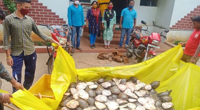 ଚୋରା ଚାଲାଣ ବେଳେ ଉଦ୍ଧାର ହୋଇଛି କଇଁଛ : ଦେଢ଼ ଶହ କଇଁଛ ଉଦ୍ଧାର – ଗାଡ଼ି ଜବତ,୨ ବେପାରୀ ଫେରାର