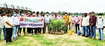 ଜର୍ନାଲିଷ୍ଟ ଆସୋସିଏସନ୍ ଅଫ ବରଗଡ (ଜାବ୍) ପକ୍ଷରୁ ବୃକ୍ଷ ରୋପଣ ; କଣ୍ଠ ଶିଳ୍ପୀ ତପୁ ମିଶ୍ର ଓ ଦିବଙ୍ଗତ ସାମ୍ବାଦିକ ମାନଙ୍କୁ ଶ୍ରଦ୍ଧାଞ୍ଜଳୀ