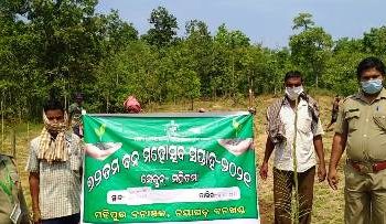 ହାତୀମୁଣ୍ଡା ସଂରକ୍ଷିତ ଜଙ୍ଗଲରେ ବୃକ୍ଷ ରୋପଣ