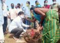 ବନମହୋତ୍ସବ ସପ୍ତାହ ରେ ଯୋଗଦେଇ ବୃକ୍ଷ ରୋପଣ କଲେ ଦଶପଲ୍ଲା ବିଧାୟକ