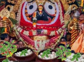 ରସଗୋଲା ଦିବସରେ ରସପୂର୍ଣ୍ଣ – ଶୁଭେଚ୍ଛା