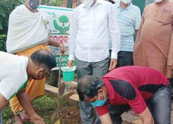 ନୟାଗଡ଼ 11 ନମ୍ବର ୱାର୍ଡ ଯଦୁମଣି ନଗର ସାହିରେ : ବୃକ୍ଷ ରୋପଣ କଲେ – ମନ୍ତ୍ରୀ ଅରୁଣ ସାହୁ