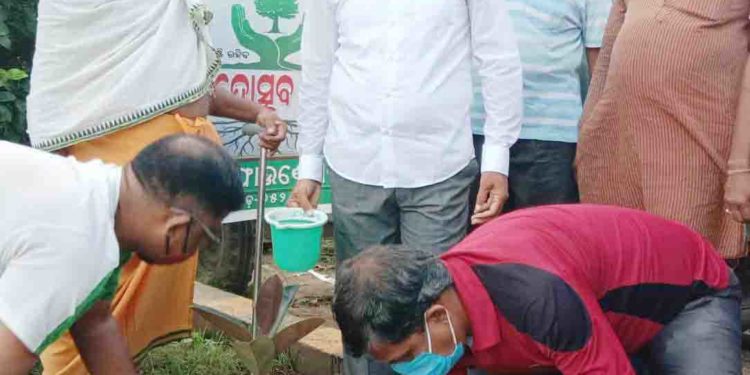 ନୟାଗଡ଼ 11 ନମ୍ବର ୱାର୍ଡ ଯଦୁମଣି ନଗର ସାହିରେ : ବୃକ୍ଷ ରୋପଣ କଲେ – ମନ୍ତ୍ରୀ ଅରୁଣ ସାହୁ