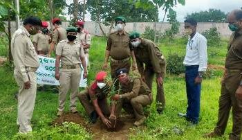 ହରିଶଙ୍କର ବନାଞ୍ଚଳ ପକ୍ଷରୁ ୭୨ ତମ ବନମହୋତ୍ସବ ପାଳିତ