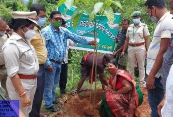 ଖେତପଡ଼ା ଠାରେ ୭୨ ତମ ବନମହୋତ୍ସବ ସପ୍ତାହ ପାଳିତ