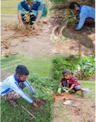 ରୋଭର ରେଞ୍ଜର ସ୍ୱେଚ୍ଛାସେବୀଙ୍କ ଦ୍ୱାରା ନିଜ ନିଜ ବାଡିବଗିଚାରେ ଚାରାରୋପଣ