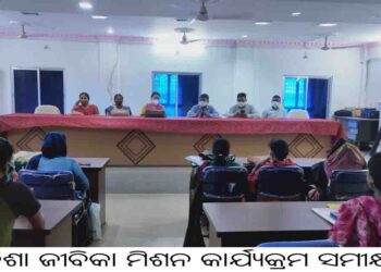 ଓଡ଼ିଶା ଜୀବିକା ମିଶନର ପକ୍ଷରୁ ବୃକ୍ଷରୋପଣ କାର୍ଯ୍ୟକ୍ରମ