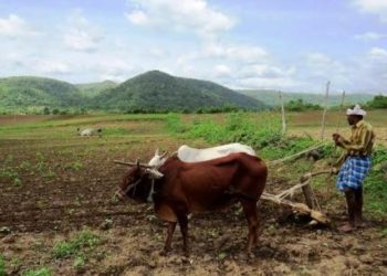 ବଦଳୁଛି ଚାଷକାର୍ଯ୍ୟର ପ୍ରଣାଳୀ ଶୁଣିବାକୁ ମିଳୁନି ହୁଳହୁଳି କି ହଳିଆ ଗୀତ