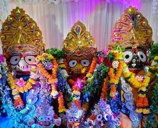 ନାଭି ମୁମ୍ବାଇ ମନ୍ଦିର ବେଢ଼ାରେ ରଥଯାତ୍ରା, ଛେରାପହଁରା କଲେ ଓଡ଼ିଆ ପୁଅ