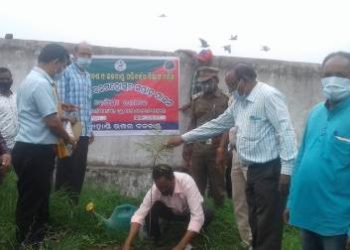 ୭୨ତମ ବନମହୋତ୍ସବ ସପ୍ତାହ ପାଳନ