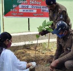 ଆଦର୍ଶ ବିଦ୍ୟାଳୟରେ ବନମହୋତ୍ସବ ପାଳିତ