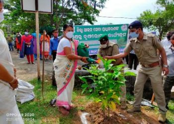 ନୟାଗଡ଼ ଜିଲ୍ଲା ଆଇନସେବା ପ୍ରାଧିକରଣ ପାଳିଲେ ୭୨ ତମ ବନ ମହୋତ୍ସବ