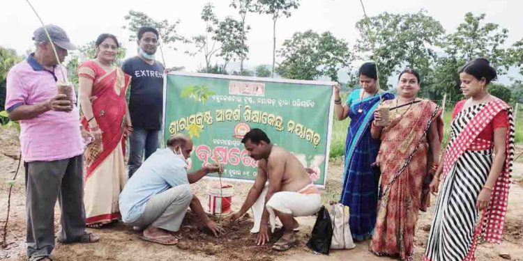 ଶ୍ରୀରାମକୃଷ୍ଣ ଆଦର୍ଶ ଶିକ୍ଷାକେନ୍ଦ୍ରରେ ବନମହୋତ୍ସବ ସପ୍ତାହର ପ୍ରଥମ ଦିବସରେ ବୃକ୍ଷ ରୋପଣ