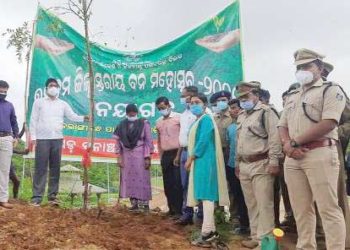 ନୟାଗଡ଼ରେ ନିର୍ମାଣଧୀନ ବଲାଙ୍ଗୀ ପାର୍କରେ ବୃକ୍ଷ ରୋପଣ କଲେ – କୃଷି ମନ୍ତ୍ରୀ ଡ. ଅରୁଣ କୁମାର ସାହୁ