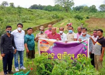ସମ୍ବାଦ ସାହିତ୍ୟ ଘର ନୟାଗଡ଼ ଶାଖାର ବ୍ୟାପକ ବୃକ୍ଷ ରୋପଣ କାର୍ଯ୍ୟକ୍ରମ ଅନୁଷ୍ଠିତ