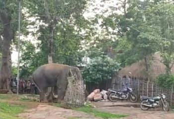 ଗାଁରେ ଝାଡ଼ଖଣ୍ଡ ଦନ୍ତାର ଉତ୍ପାତ : ଭାଙ୍ଗିଦେଲା ଚାଳ ଛପର ଘର ଓ ସ୍କୁଲ ପାଚେରୀ, ଭୟରେ ଗ୍ରାମବାସୀ