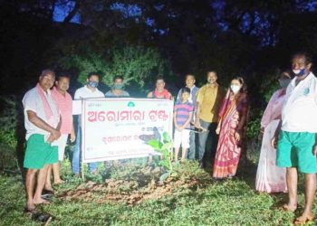 କୁରାଳ ପରିବେଶ ସାଥି ଅନୁଷ୍ଠାନ ତରଫରୁ ବନମହୋତ୍ସବ ସପ୍ତାହର ପ୍ରଥମ ଦିନରେ ବୃକ୍ଷ ରୋପଣ କାର୍ଯ୍ୟକ୍ରମ ଅନୁଷ୍ଠିତ – ଓଡ଼ଗାଁ
