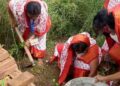 ନୟାଗଡ଼ ଜିଲ୍ଲାର ଅଗ୍ରଣୀ ସ୍ବେଛାସେବୀ ଅନୁଷ୍ଠାନ “ୟୁଥ ଫର ଆକ୍ସନ”ତରଫରୁ ବ୍ୟାପକ ବୃକ୍ଷ ରୋପଣ କାର୍ଯ୍ୟକ୍ରମ ଅନୁଷ୍ଠିତ
