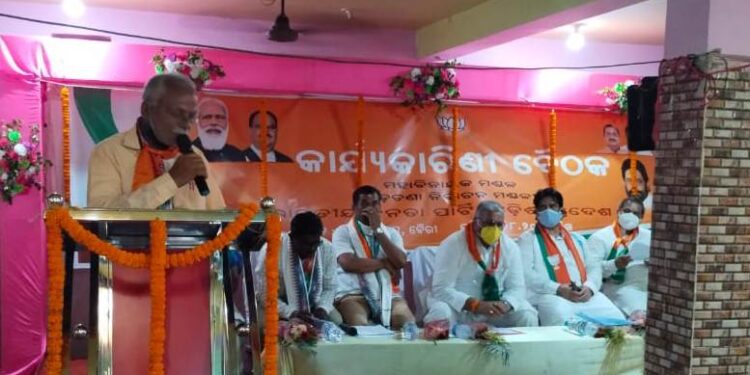 ବଡଚଣା BJP କାର୍ଯ୍ୟକାରିଣୀ ବୈଠକରେ ପଞ୍ଚାୟତ ସମିତି ଦାଖଲ ପାଇଁ ଗୁରୁ ମନ୍ତ୍ର